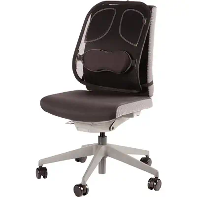 Fellowes Support Dorsal Maille Professional Series - Produit ergonomique - visuel 2