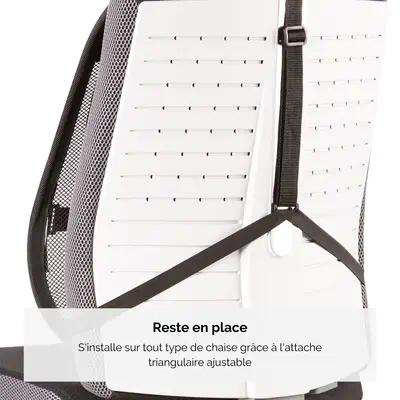 Fellowes Support Dorsal Maille Professional Series - Produit ergonomique - visuel 10