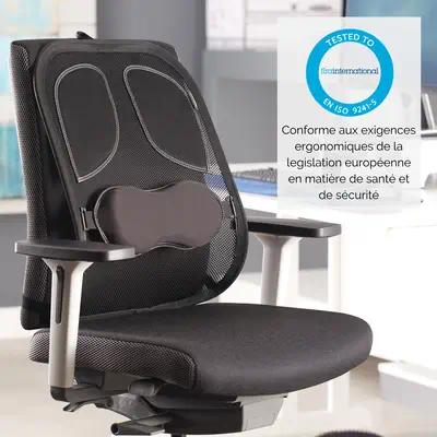 Fellowes Support Dorsal Maille Professional Series - Produit ergonomique - visuel 6