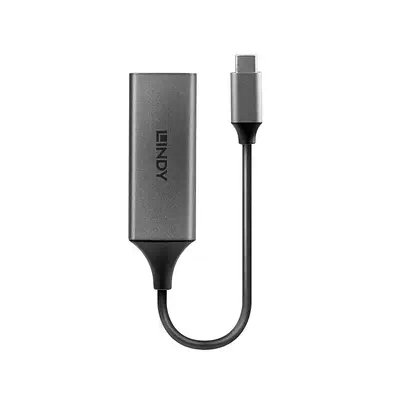 Convertisseur USB 3.2 Type C vers Ethernet Gigabit - Lindy - Carte Réseau - visuel 2