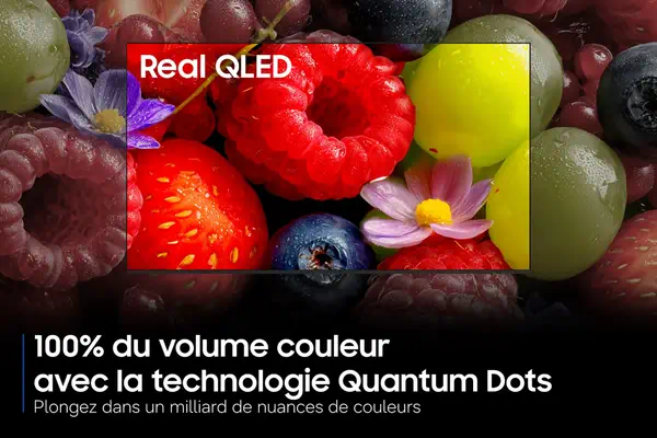 55'' Neo QLED QN80H 4K Samsung Vision AI Smart TV (2026) - Ecran TV - visuel 3