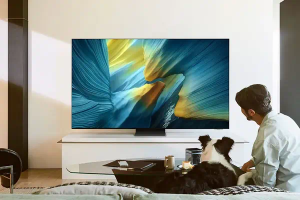 Samsung TV AI OLED 77" S95F 2025, 4K - Ecran TV - visuel 9