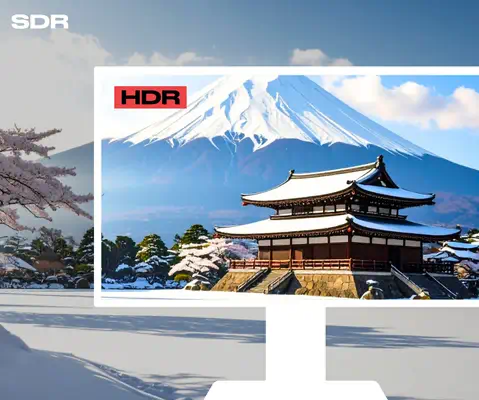 JAPANNEXT JN-IPS2152FHDR-T écran plat de PC 54,6 cm (21.5") 1920 x 1080 pixels Full HD LED Écran tac - Ecran Ordinateur - visuel 6