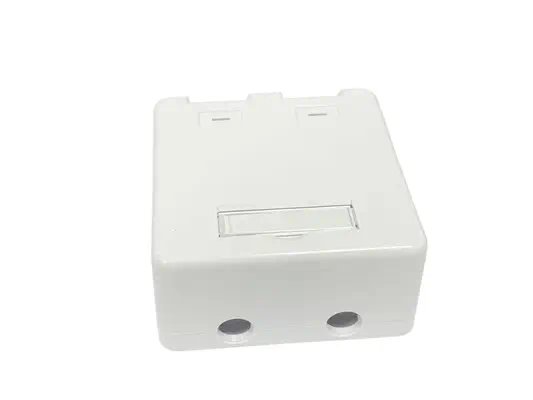Lanview LVN127767 prise de courant RJ-45 Blanc - Rack et Armoire - visuel 3