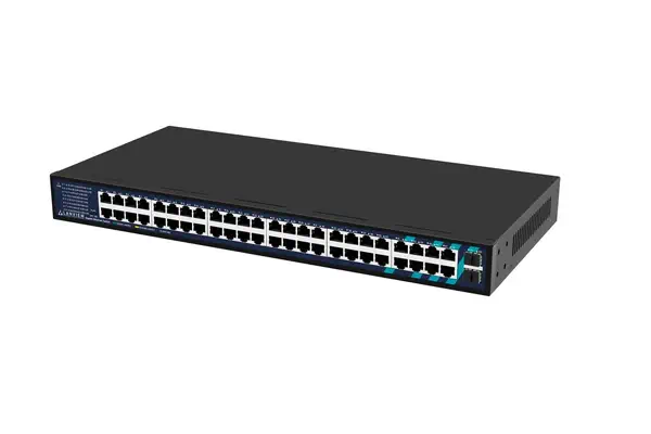 LVN-1UMOUNT-48PORT-2SFP-1G - Lanview - Switchs et Hubs - visuel 3