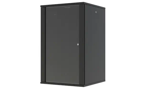 Lanview RWF20U66BL étagère 20U Rack monté sur le mur Noir - Rack et Armoire - visuel 1