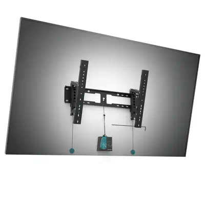 Erard INTEGRA600T 2,54 m (100") Noir - Accessoire Affichage - visuel 3