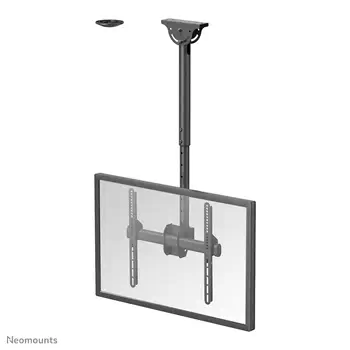 Livraison rapide Support Fixe & Mobile 50 kg