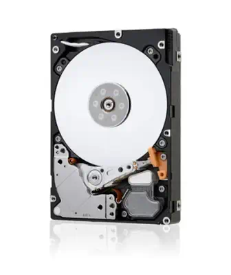 IBM 49Y1899-RFB disque dur 300 Go 15000 tr/min 3.5" SAS - Disque dur Interne - visuel 1