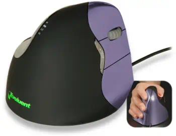 Offre Souris Evoluent 500791