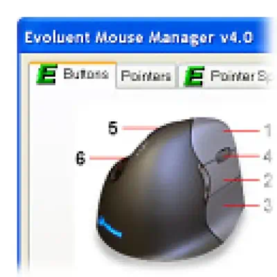 Evoluent VM4S souris Bureau USB Type-A - Souris - visuel 10