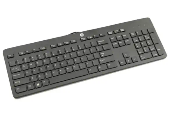HP 803181-081 clavier Bureau USB Danois Noir - Clavier - visuel 1