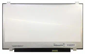 Livraison gratuite Ecran Ordinateur CoreParts MSC140F30-255M