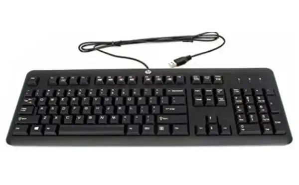 HP 672647-093 clavier Universel USB Norvégien Noir - Clavier - visuel 1