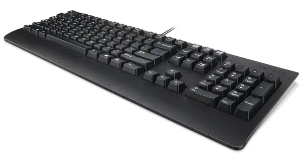 Lenovo Preferred Pro II clavier Universel USB QWERTY Danois Noir - Clavier - visuel 1