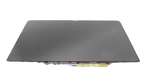 Lenovo 5D11C95909 composant de laptop supplémentaire Écran - Ecran Ordinateur - visuel 1