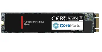 Revendeur officiel CoreParts CPSSD-M.2SATA-256GB disque SSD 256 Go M.2 SATA