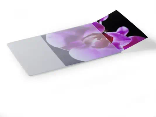 Durable 5747-19 Transparent - Tapis - visuel 2