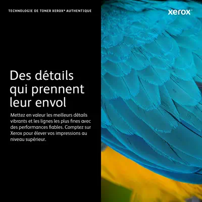Xerox 106R03748 Cartouche de toner 1 pièce(s) Original Cyan - Toner - visuel 3