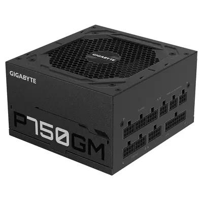GIGABYTE P750GM unité d'alimentation d'énergie 750 W 20+4 pin ATX ATX Noir - Gigabyte - Boitier d'alimentation - visuel 3