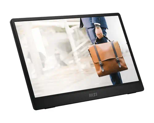 MSI PRO MP161DE E2 écran plat de PC 39,6 cm (15.6") 1920 x 1080 pixels Full HD LED Noir - Ecran Ordinateur - visuel 2