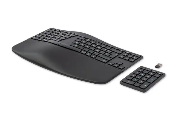 Clavier sans fil ergonomique HP 960 - visuel 2