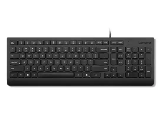 Lenovo 4Y41R64642 clavier maison/bureau USB Danois Noir - Clavier - visuel 1
