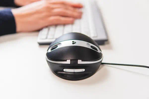 BakkerElkhuizen Oyster Wired mouse - Clavier - visuel 4