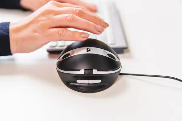 BakkerElkhuizen Oyster Wireless mouse - Clavier - visuel 7