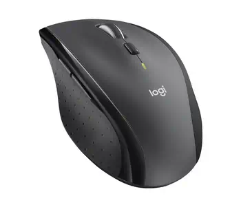 Livraison rapide Souris 7