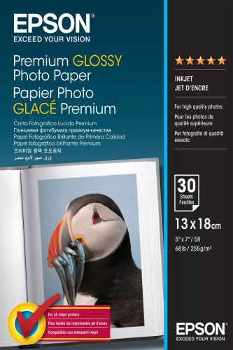 Achat EPSON S042154 Premium brillant photo papier inkjet 255g/m2 et autres produits de la marque Epson