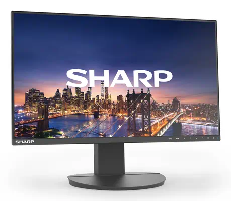 Sharp MultiSync EA242F écran plat de PC 61 cm (24") 1920 x 1080 pixels Full HD LCD Noir - Affichage dynamique - visuel 1