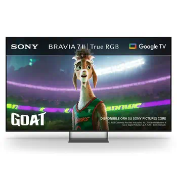 Ecran TV BRAVIA 7 II E livraison rapide