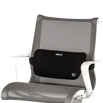 Fellowes 8026501 soutien lombaire pour dossier de siège Noir - Produit ergonomique - visuel 2