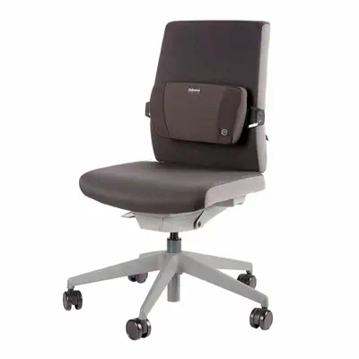 Fellowes 8026501 soutien lombaire pour dossier de siège Noir - Produit ergonomique - visuel 7