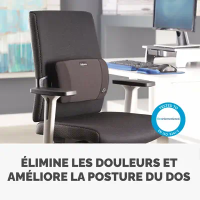 Fellowes 8026501 soutien lombaire pour dossier de siège Noir - Produit ergonomique - visuel 5