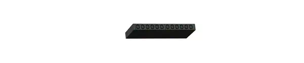 Raritan PX3-5260R unité de distribution d'énergie 12 sortie(s) CA 1U - Accessoire Onduleur - visuel 5