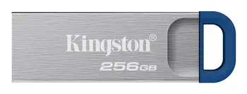 Acheter Clé USB DataTraveler DTKNG2/256GB