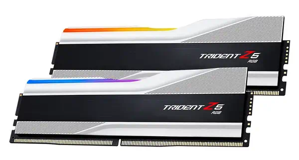 F5-6000J3636F16GX2-TZ5RS - G.Skill - Mémoire - visuel 4