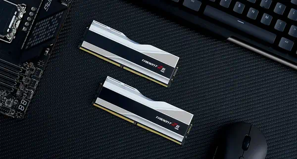 F5-6000J3636F16GX2-TZ5RS - G.Skill - Mémoire - visuel 7