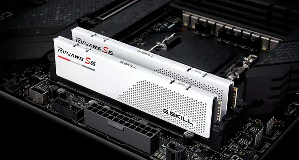 F5-6000J3238F16GX2-RS5W - G.Skill - Mémoire - visuel 5