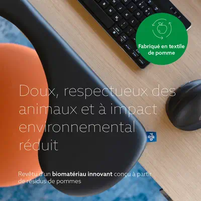 R-Go Repose-bras ergonomique, symétrique, textile Apple, mousse souple, noir - R-Go Tools - Accessoire Affichage - visuel 9
