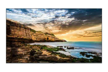 Avis 55" Crystal UHD Signage QET