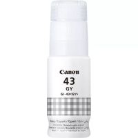 Achat Canon GI-43GY - 4549292178876