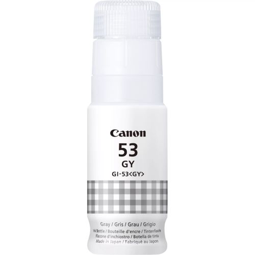 Achat CANON GI-53 GY EUR Grey Ink Bottle - 4549292178937