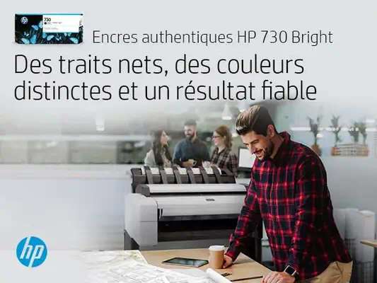 Cartouche d’encre HP 730 DesignJet gris, 300 ml - Cartouches d'encre - visuel 2