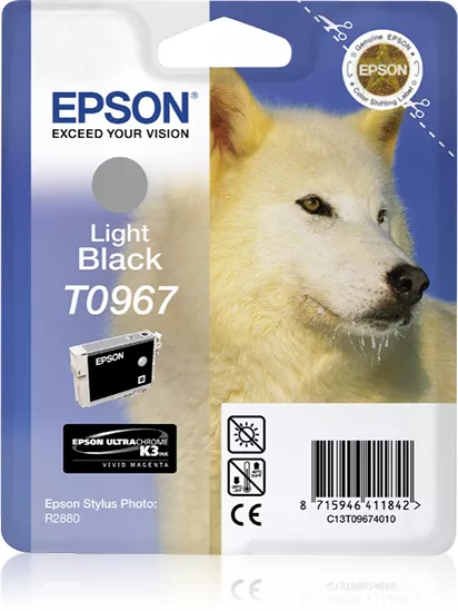 Achat EPSON T0967 cartouche d encre noir clair capacité standard au meilleur prix
