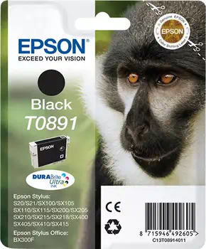 Achat EPSON T0891 cartouche d encre noir capacité standard 5.8ml au meilleur prix