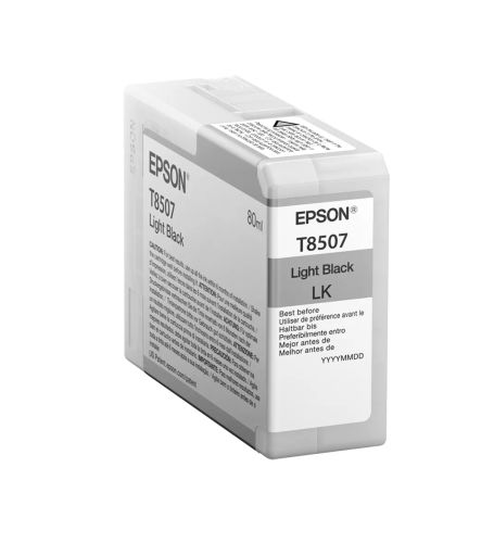 Vente EPSON Singlepack Light Black T850700 UltraChrome HD ink au meilleur prix