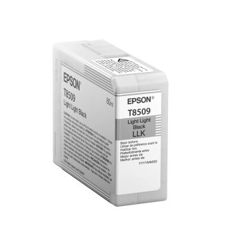 Revendeur officiel Cartouches d'encre EPSON Singlepack Light Light Black T850900 UltraChrome